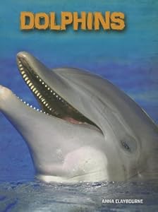 Dolphins