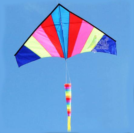 

Outdoor Multicolor Nylon Triangle Flying Kite With 100M Line