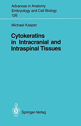 Cytokeratins in Intracranial and Intraspinal Tissues (Advances in Anatomy, Embryology and Cell Biology Book 126) by Michael Bauer