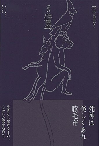 遊星 (ふらんす堂俳句叢書)