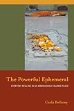 Carla Bellamy, "The Powerful Ephemeral: Everyday Healing in an Ambiguously Islamic Place" (U California Press, 2011)