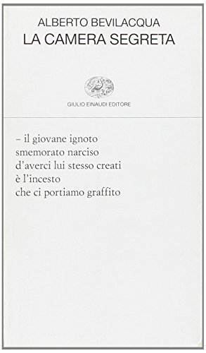 Algopix Similar Product 17 - La camera segreta