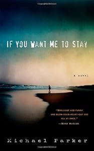 If You Want Me to Stay: A Novel
