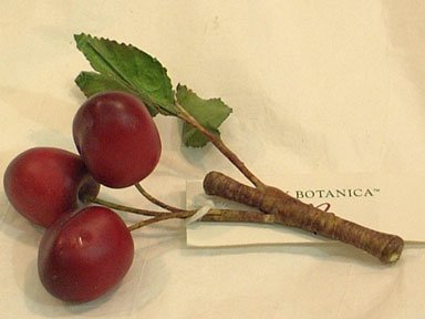 

Cherry Weighted Burgundy Artificial Fruit