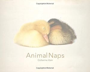 Animal Naps
