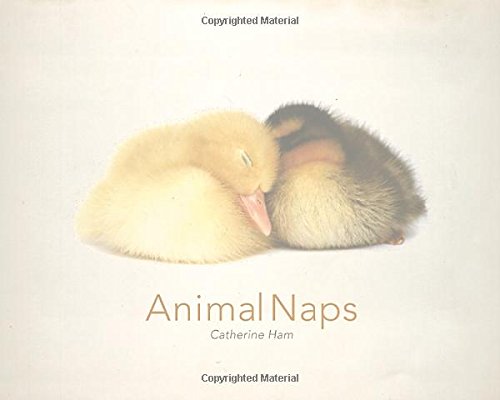Animal Naps by Catherine Ham