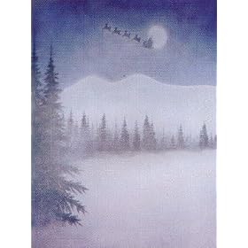 StudioHut 10' X 20' Holiday Series Painted Muslin Photo Video Backdrop/Background (K12254)