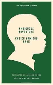 Ambiguous Adventure (Neversink)