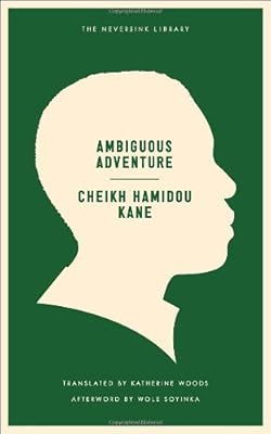 Ambiguous Adventure (Neversink)
