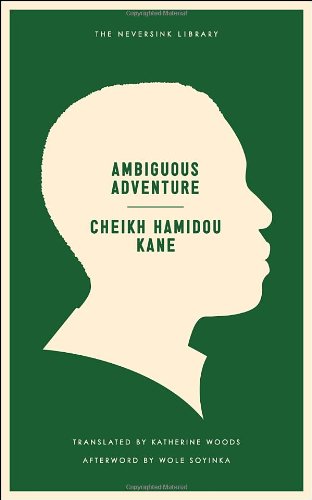 Ambiguous Adventure (Neversink) by Wole Soyinka