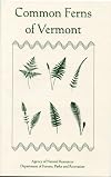 Common Ferns of Vermont