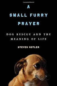 A small furry prayer