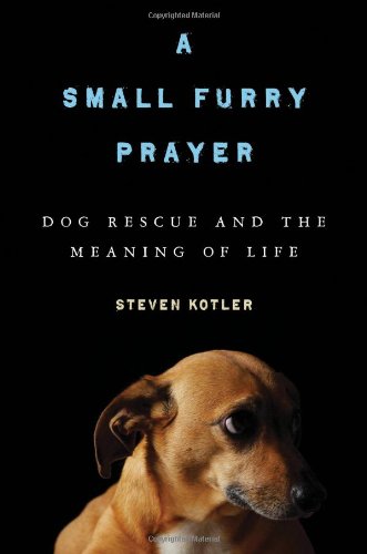 A small furry prayer by Steven Kotler