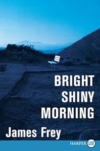 Bright Shiny Morning LP
