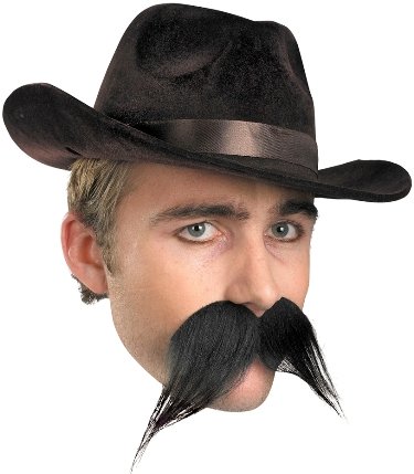 Disguise Men's Gambler Moustache
