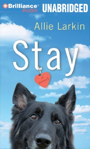 Stay by Allie Larkin