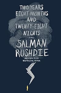 Two Years Eight Months and Twenty-Eight Nights: A Novel