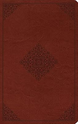 ESV Large Print Value Thinline Bible