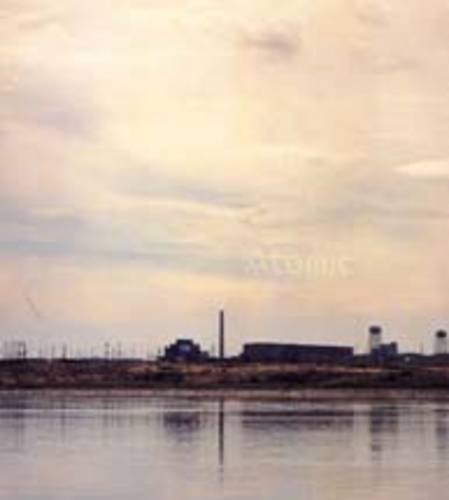 Atomic - James Acord, Carey Young. Mark Waller by James Flint