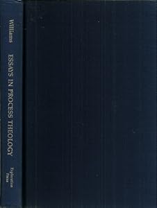 Essays in Process Theology by Daniel Day Williams