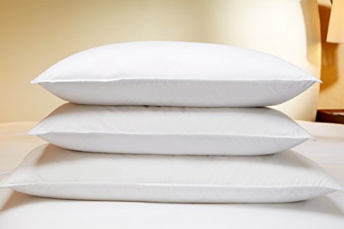 

The Luxury Collection Feather and Down Pillow