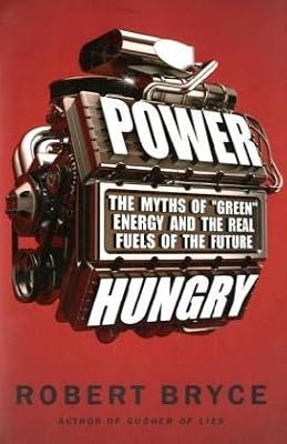 Power Hungry: The Myths of "Green" Energy and the Real Fuels of the Future