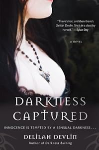 Darkness Captured: A Novel