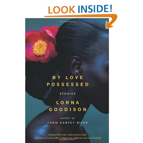 By Love Possessed: Stories