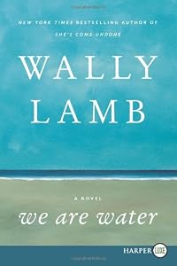 We Are Water LP: A Novel