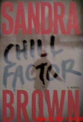 Chill Factor (Large Print Edition) by Sandra Brown