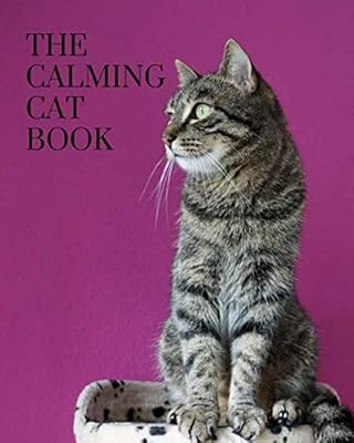 The Calming Cat Book: A colorful book for seniors with alzheimers or dementia. With many different breeds of cat animals in a big, large print for elderly people or patients to help them feel calm