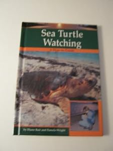 Sea Turtle Watching (Wildlife Watching)