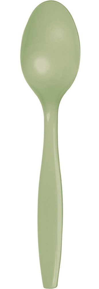 

Creative Converting Touch of Color Premium 50 Count Plastic Spoons, Sage Green