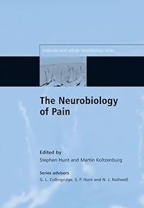 The Neurobiology of Pain (Molecular and Cellular Neurobiology Series)