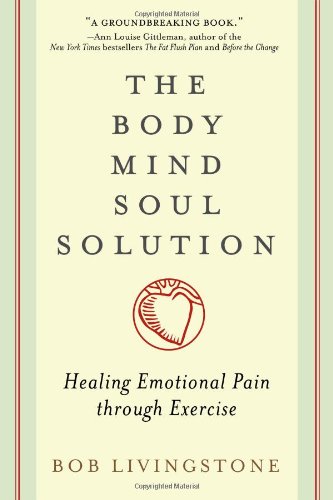 Body Mind Soul Solution: Healing Emotional Pain Through Exercise by Bob Livingstone