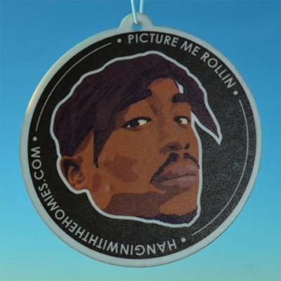 Algopix Similar Product 1 - 2Pac Air Freshener