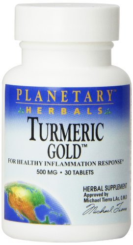 Algopix Similar Product 2 - Planetary Herbals Turmeric Gold 500 Mg