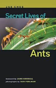 Secret Lives of Ants