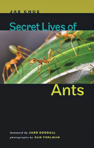 Secret Lives of Ants by Jane Goodall