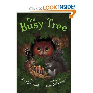 The Busy Tree by Jennifer Ward