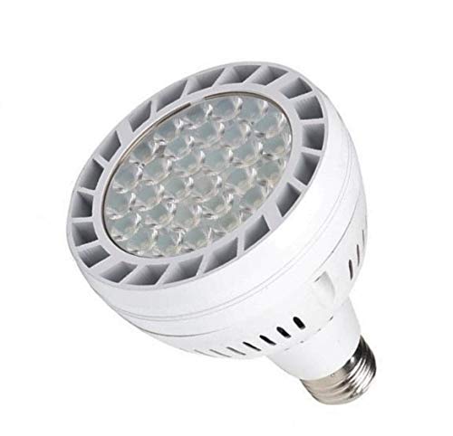 Algopix Similar Product 17 - 