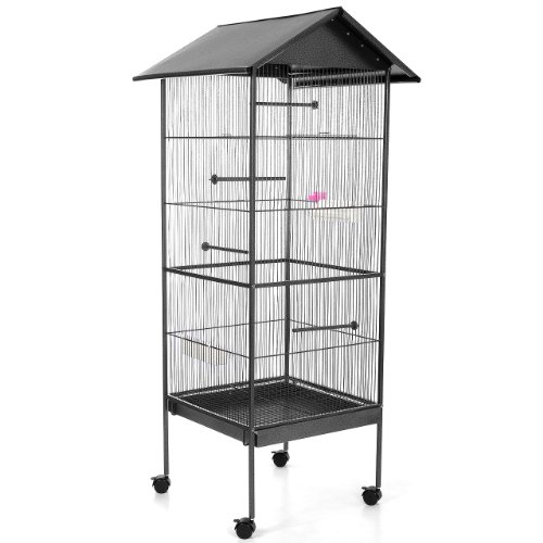 Wellensittich Käfig einrichten - so fühlen sich die Vögel wohl