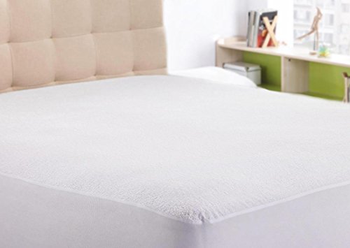 Duck & Goose Co Premium 100% Waterproof Mattress Protector, Hypo-allergenic & Vinyl-free with Life Time Warranty Queen Size
