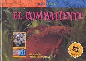 El Combatiente/ Fighting Fish