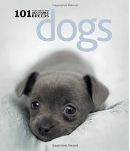 Dogs: 101 Adorable Breeds by Rachael Hale