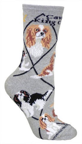 Cavalier King Charles Animal Socks On Gray 9-11