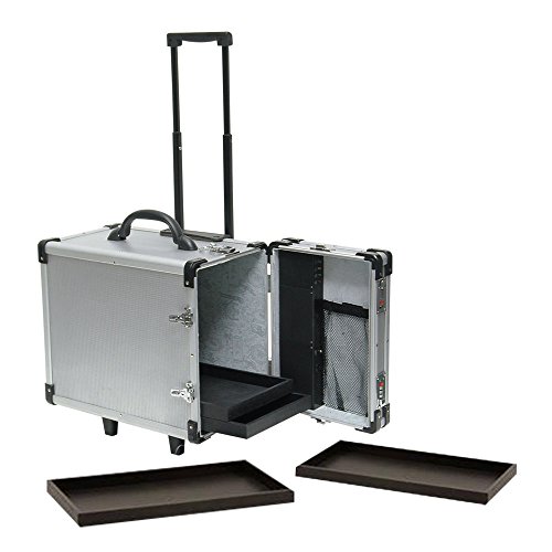 Algopix Similar Product 18 - SSWBasics Jewelry Case for Travel and