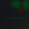 The biggest pine tree (Look, read, learn)