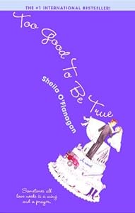 Too Good to be True by Sheila O'Flanagan