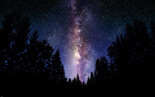 THE MILKY WAY outer space poster BEAUTIFUL COLORS LIGHT STARS trees 24X36